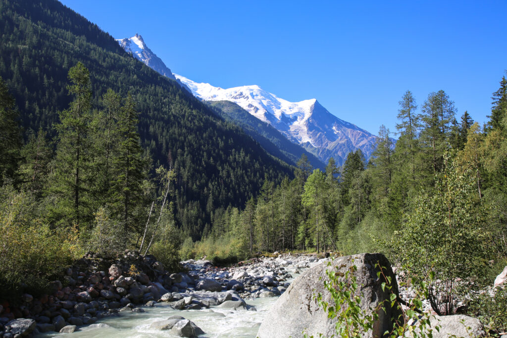 Les sources de l'Arveyron aux bois de Chamonix